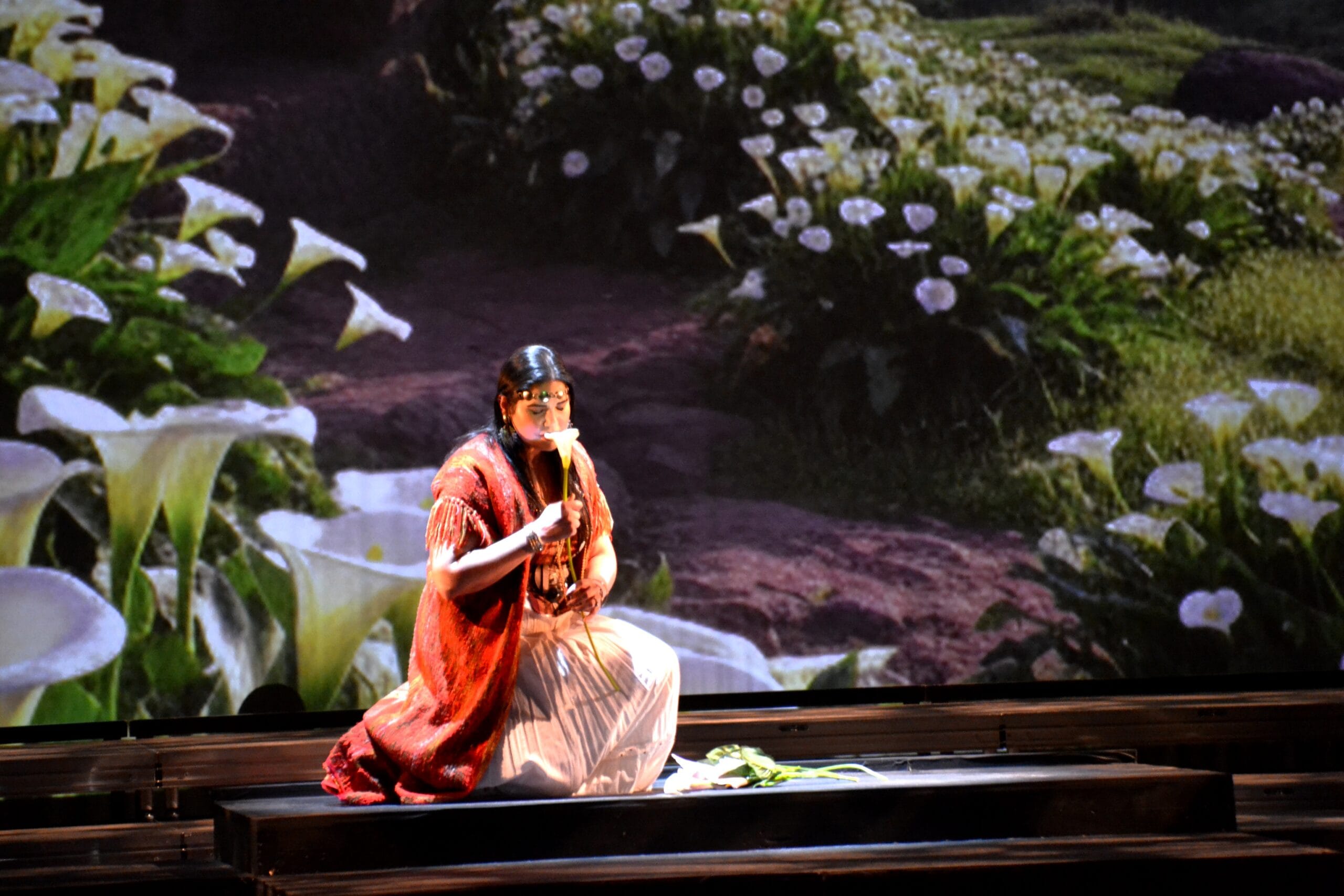 Aida — Stephanie DeCiantis in performance
